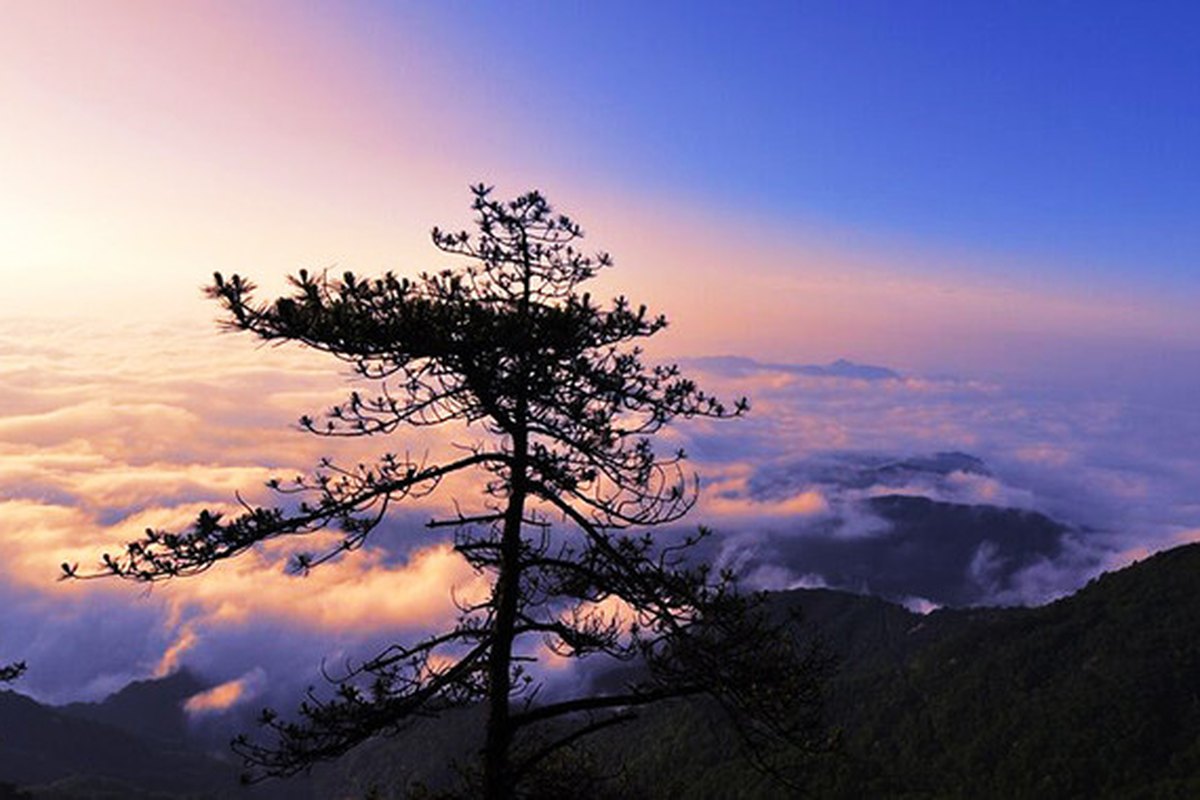 层林尽染：秋天的英山适合登高赏叶