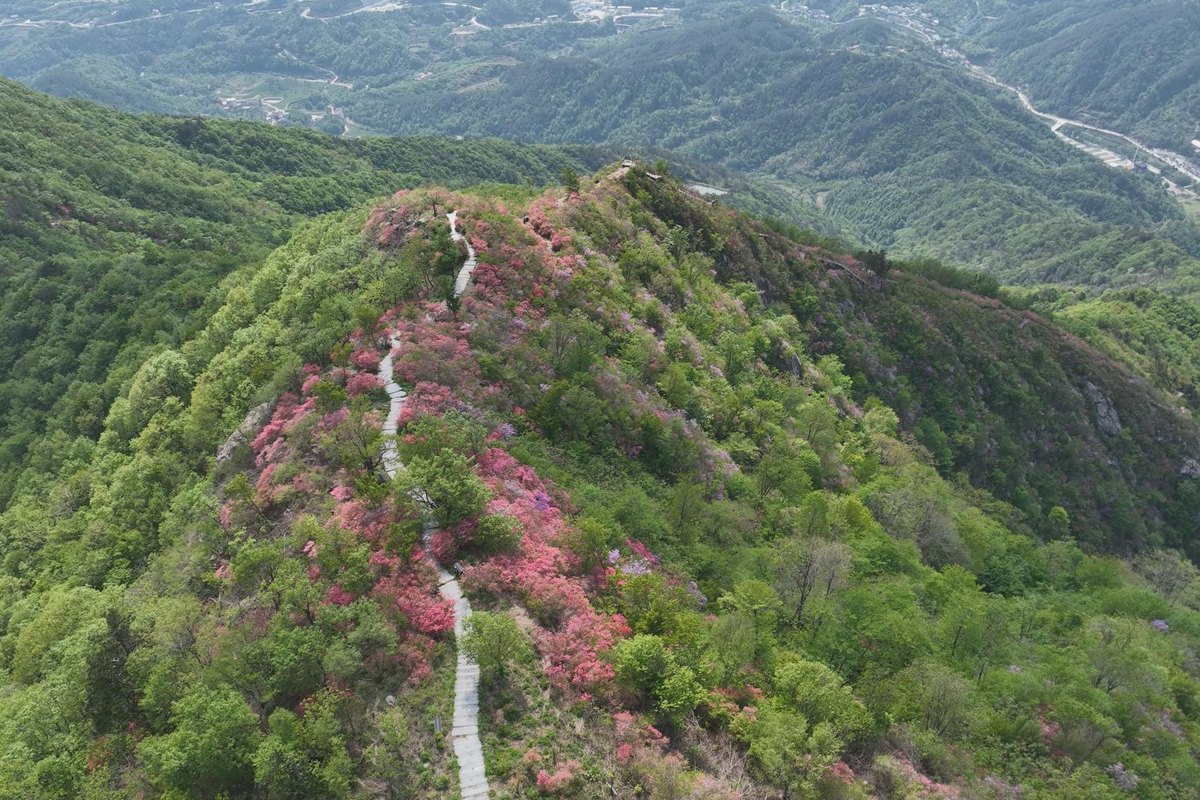 追云海、看星空：英山山野夜景与露营安全须知